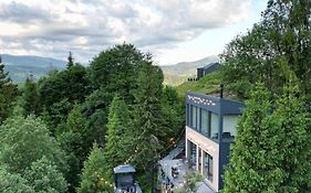 Forest Hub